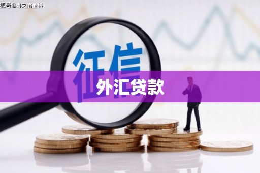 河西外汇贷款
