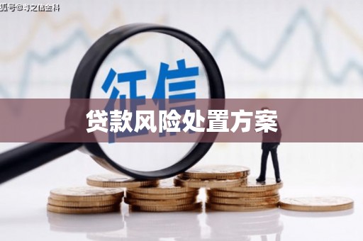 河西贷款风险处置方案