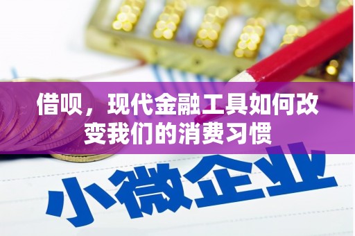河西借呗，现代金融工具如何改变我们的消费习惯