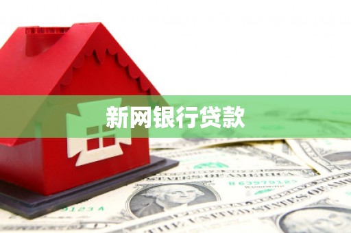 河西新网银行贷款