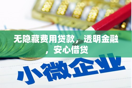 河西无隐藏费用贷款，透明金融，安心借贷