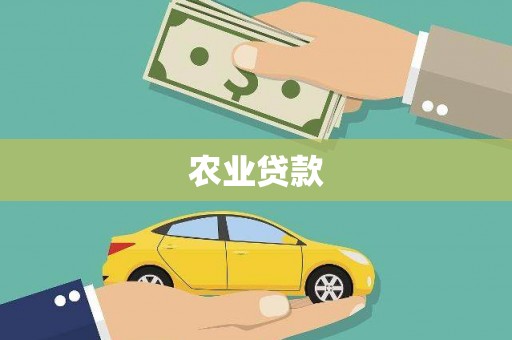 河西农业贷款