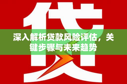 河西深入解析贷款风险评估，关键步骤与未来趋势