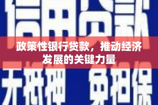 河西政策性银行贷款，推动经济发展的关键力量