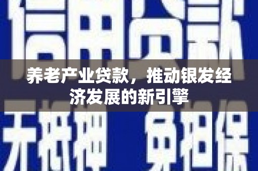 河西养老产业贷款，推动银发经济发展的新引擎