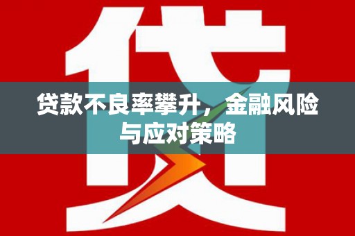 河西贷款不良率攀升，金融风险与应对策略