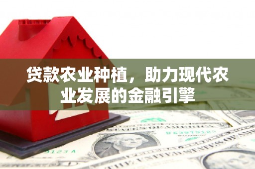 河西贷款农业种植，助力现代农业发展的金融引擎