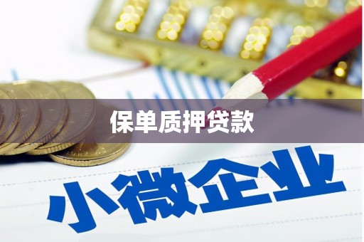 河西保单质押贷款