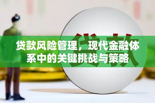 河西贷款风险管理，现代金融体系中的关键挑战与策略