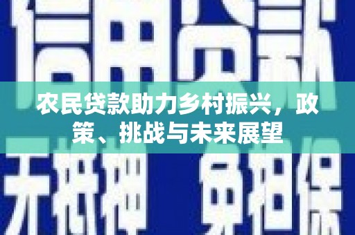 河西农民贷款助力乡村振兴，政策、挑战与未来展望