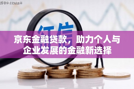 河西京东金融贷款，助力个人与企业发展的金融新选择