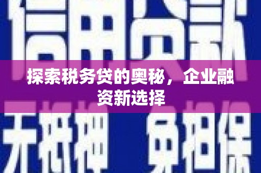 河西探索税务贷的奥秘，企业融资新选择