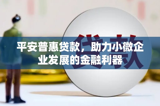 河西平安普惠贷款，助力小微企业发展的金融利器