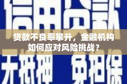 河西贷款不良率攀升，金融机构如何应对风险挑战？