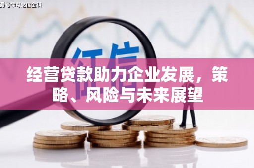 河西经营贷款助力企业发展，策略、风险与未来展望