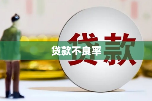 河西贷款不良率