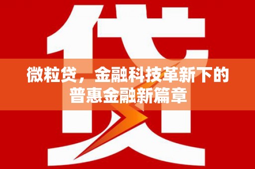 河西微粒贷，金融科技革新下的普惠金融新篇章