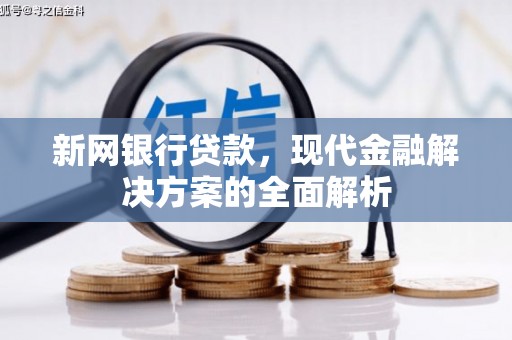 河西新网银行贷款，现代金融解决方案的全面解析