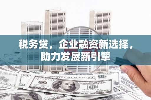 河西税务贷，企业融资新选择，助力发展新引擎