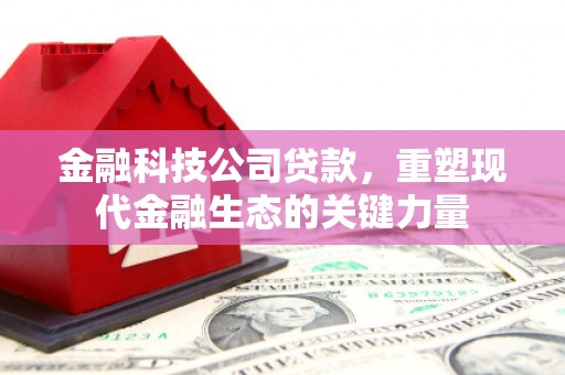 河西金融科技公司贷款，重塑现代金融生态的关键力量