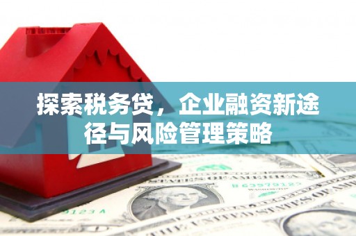 河西探索税务贷，企业融资新途径与风险管理策略