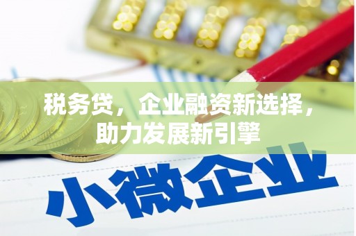 河西税务贷，企业融资新选择，助力发展新引擎