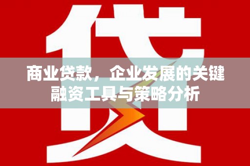 河西商业贷款，企业发展的关键融资工具与策略分析