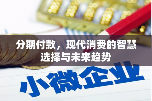 河西分期付款，现代消费的智慧选择与未来趋势