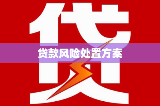 河西贷款风险处置方案