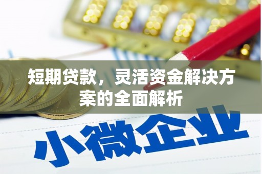 河西短期贷款，灵活资金解决方案的全面解析