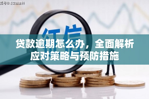 河西贷款逾期怎么办，全面解析应对策略与预防措施