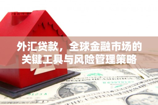 河西外汇贷款，全球金融市场的关键工具与风险管理策略