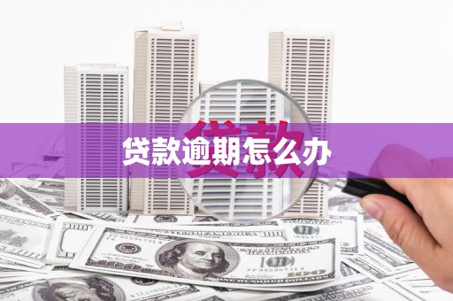 河西贷款逾期怎么办