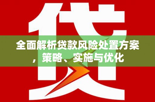 河西全面解析贷款风险处置方案，策略、实施与优化