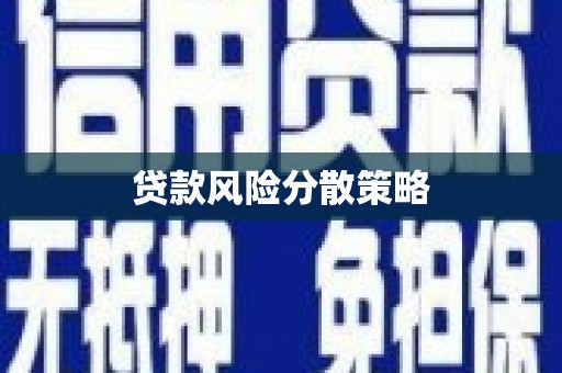 河西贷款风险分散策略