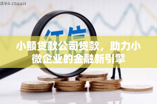 河西小额贷款公司贷款，助力小微企业的金融新引擎