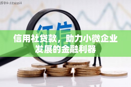 河西信用社贷款，助力小微企业发展的金融利器