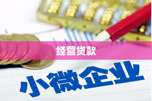河西经营贷款