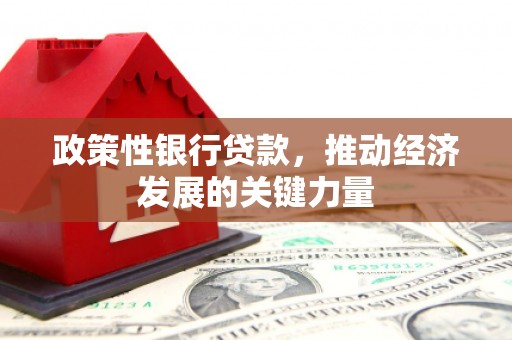 河西政策性银行贷款，推动经济发展的关键力量