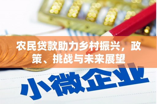 河西农民贷款助力乡村振兴，政策、挑战与未来展望
