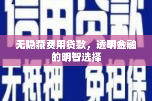 河西无隐藏费用贷款，透明金融的明智选择