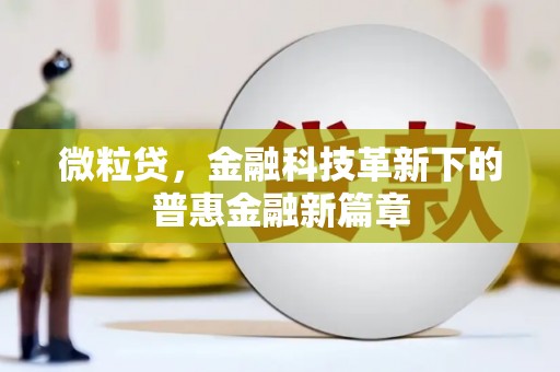 河西微粒贷，金融科技革新下的普惠金融新篇章