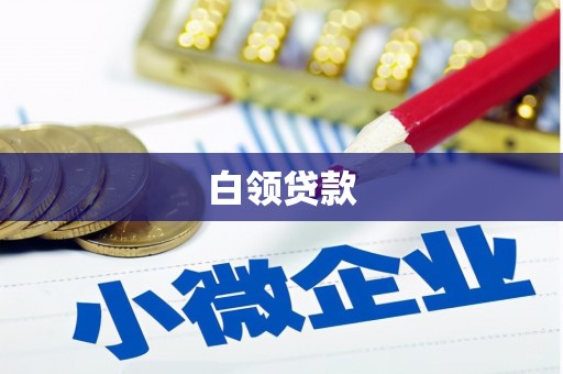 河西白领贷款
