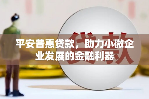 河西平安普惠贷款，助力小微企业发展的金融利器