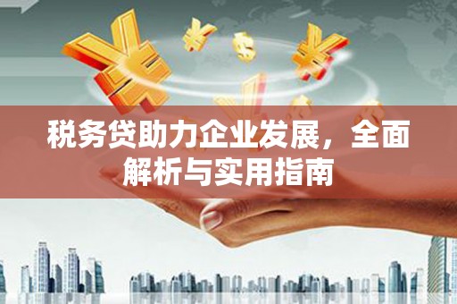 河西税务贷助力企业发展，全面解析与实用指南