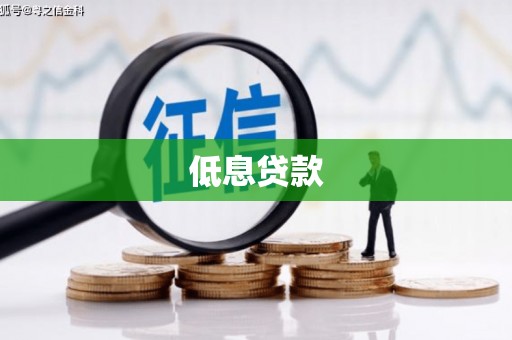 河西低息贷款