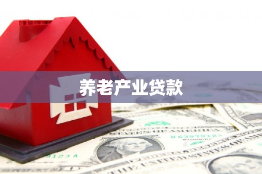 河西养老产业贷款