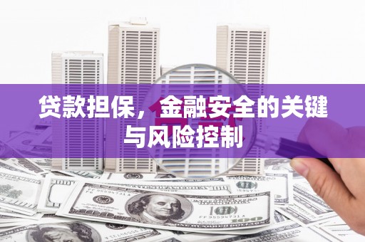 河西贷款担保，金融安全的关键与风险控制