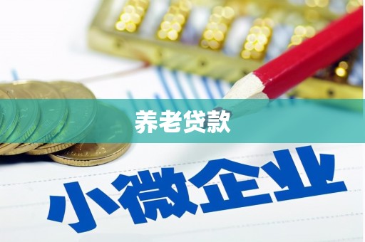 河西养老贷款