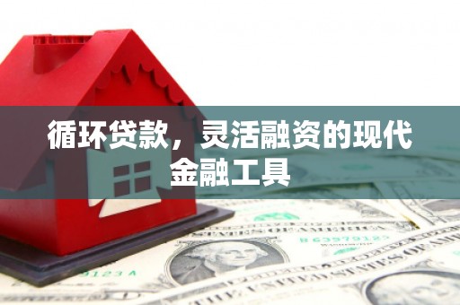 河西循环贷款，灵活融资的现代金融工具